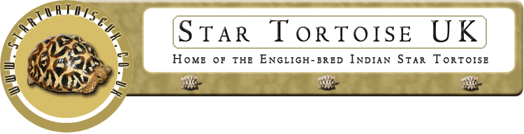Star Tortoise UK Logo